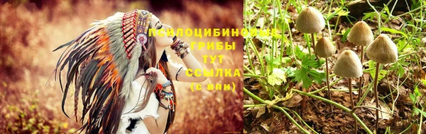 герыч Михайловка