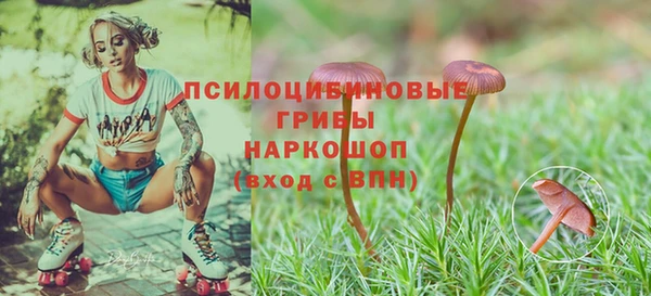 герыч Михайловка