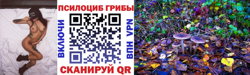 Галлюциногенные грибы ЛСД mega рабочий сайт Железногорск