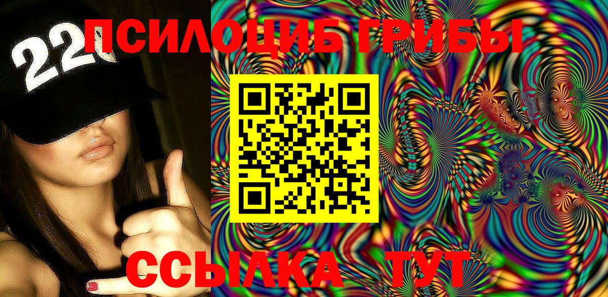 Галлюциногенные грибы GOLDEN TEACHER  Железногорск  Галлюциногенные грибы Cubensis 