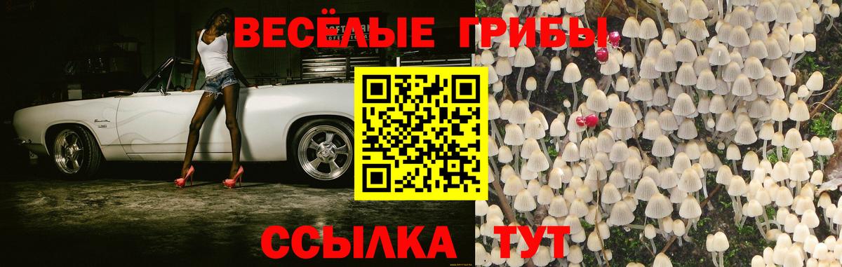Псилоцибиновые грибы MAGIC MUSHROOMS  купить наркотики цена  Железногорск  Галлюциногенные грибы ЛСД  Вход с VPN 